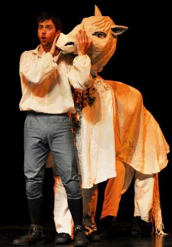 Gullliver's Travel for 2026 TNT 7 horse Gull - 1